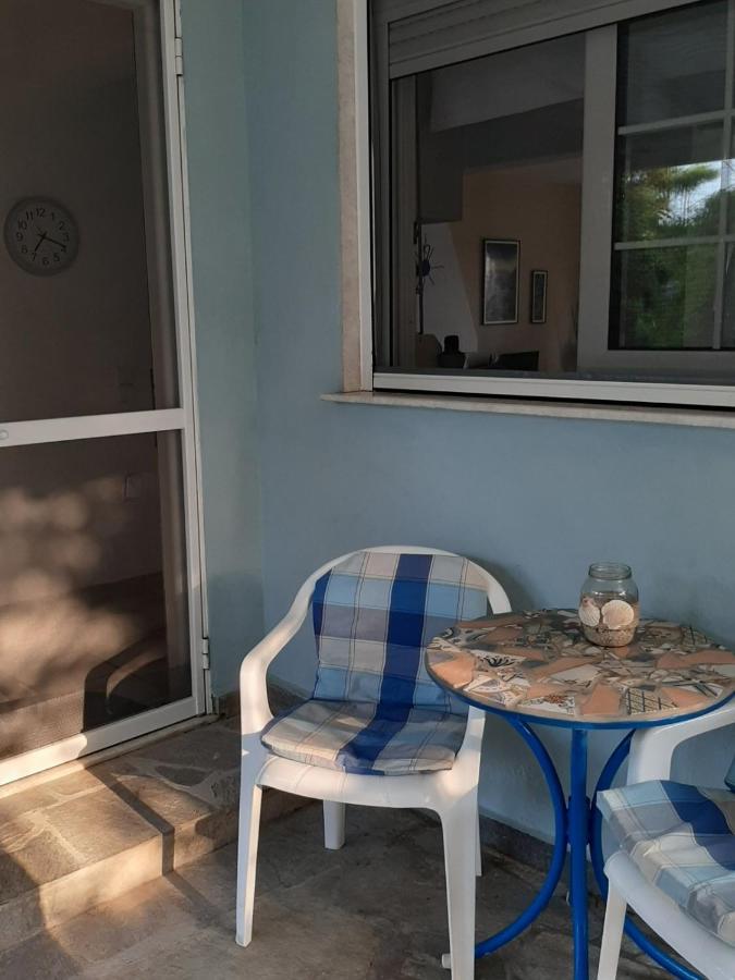 הוילה פלוגיטה Wonderful House With Private Garden מראה חיצוני תמונה