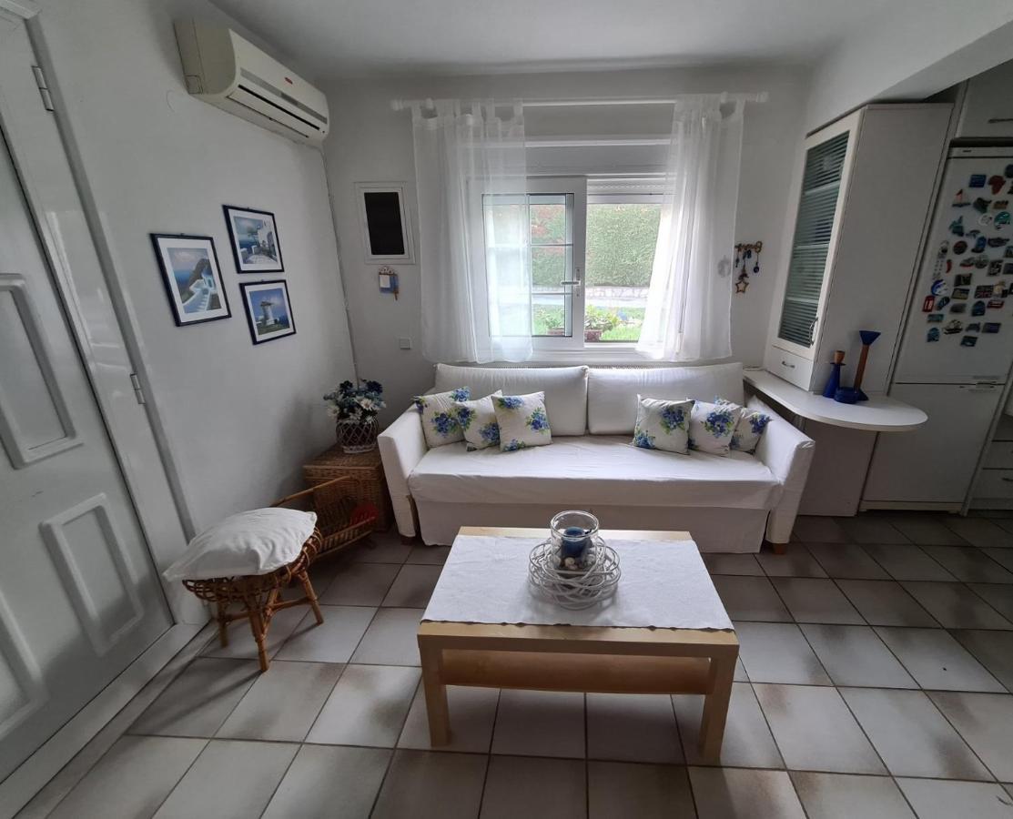 הוילה פלוגיטה Wonderful House With Private Garden מראה חיצוני תמונה