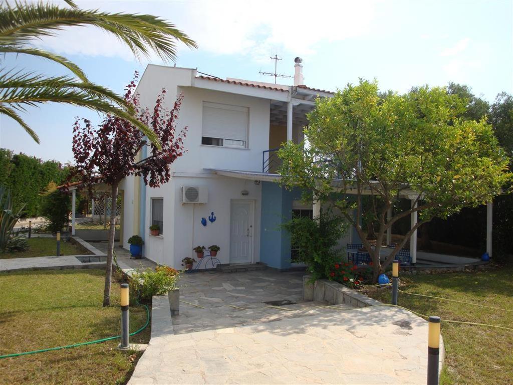 הוילה פלוגיטה Wonderful House With Private Garden מראה חיצוני תמונה