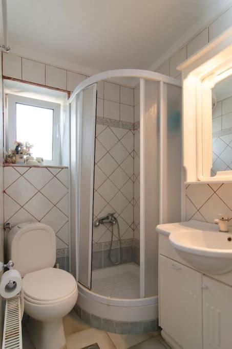 הוילה פלוגיטה Wonderful House With Private Garden מראה חיצוני תמונה