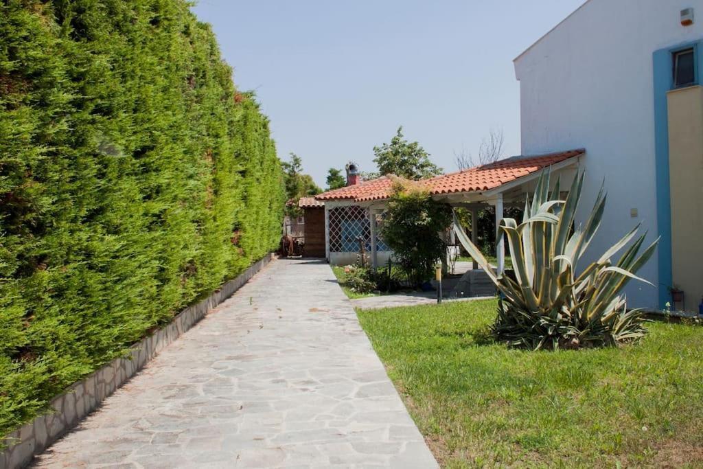 הוילה פלוגיטה Wonderful House With Private Garden מראה חיצוני תמונה